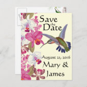 ハミングバードフラワーオーキッド救フローラ日 案内ポストカード (正面/裏面)