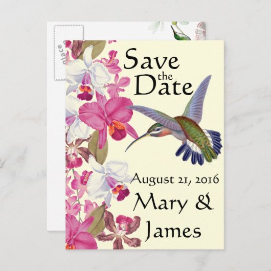 ハミングバードフラワーオーキッド救フローラ日 案内ポストカード (正面/裏面)
