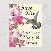 ハミングバードフラワーオーキッド救フローラ日 案内ポストカード (正面)