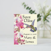 ハミングバードフラワーオーキッド救フローラ日 案内ポストカード (スタンド正面)