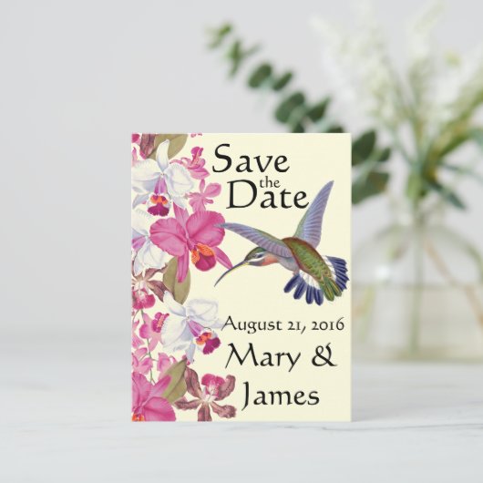 ハミングバードフラワーオーキッド救フローラ日 案内ポストカード (スタンド正面)