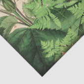 ハミングバードフローラヴィンテージ分離 薄葉紙 (詳細)