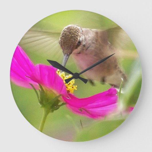 ハミングバードフローラ花鳥動物壁時計 ラージ壁時計 (正面)
