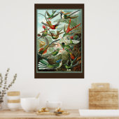 ハミングバードプリント ポスター (キッチン)