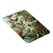 ハミングバードプレミアムマグネット マグネット (右側)