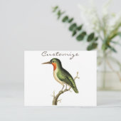 ハミングバードペルッチドサンダー_コーブ ポストカード (スタンド正面)