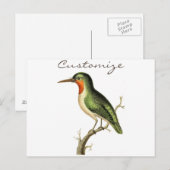 ハミングバードペルッチドサンダー_コーブ ポストカード (正面/裏面)