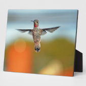 ハミングバードホバリング フォトプラーク (側面)