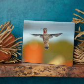 ハミングバードホバリング フォトプラーク (側面)