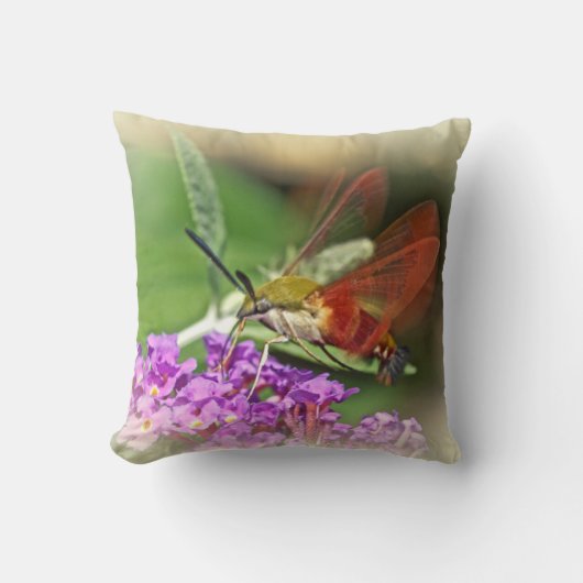 ハミングバードホーク クッション (正面)