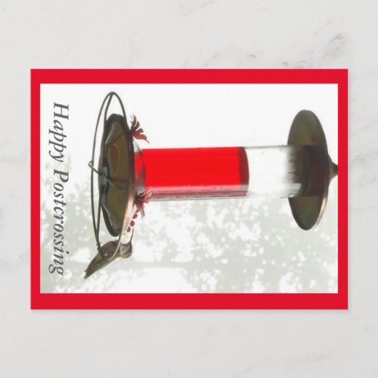 ハミングバードポストクロスオンハガキ ポストカード (正面)