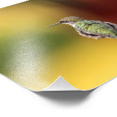 ハミングバードポーズフォトプリント フォトプリント            (角)