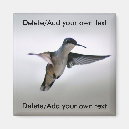 ハミングバードマグネット マグネット (正面)