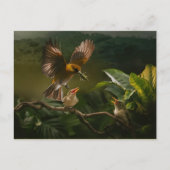 ハミングバードマザーバードは優雅にバランスを取る ポストカード (正面)