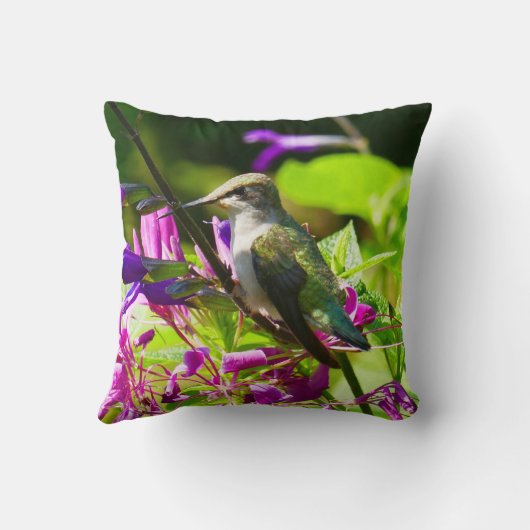 ハミングバードミントのハミングバード クッション (裏面)