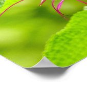 ハミングバードミントのハミングバード ポスター (角)