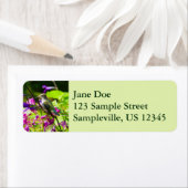 ハミングバードミントのハミングバード ラベル (インサイチュ)