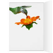 ハミングバードミール・オン・ザ・フライ (内側 (左))