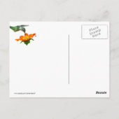 ハミングバードミール ポストカード (裏面)