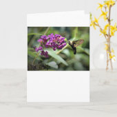 ハミングバードモスカード カード (黄色い花)