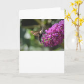 ハミングバードモスカード カード (黄色い花)