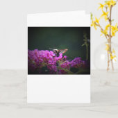 ハミングバードモスカード カード (黄色い花)