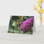 ハミングバードモスカード カード (黄色い花)