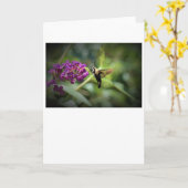 ハミングバードモスカード カード (黄色い花)