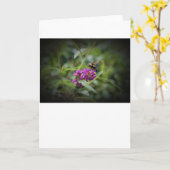 ハミングバードモスカード カード (黄色い花)