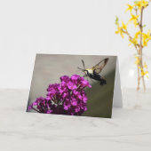 ハミングバードモスカード カード (黄色い花)