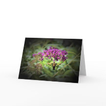 ハミングバードモスカード