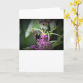 ハミングバードモスカード カード (黄色い花)
