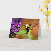 ハミングバードモスカード カード (黄色い花)