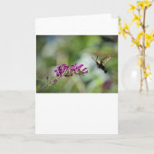 ハミングバードモスカード カード (黄色い花)