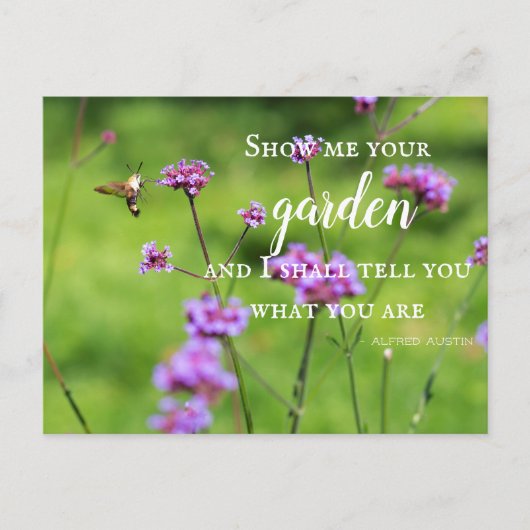 ハミングバードモス&フラワーズ ポストカード (正面)