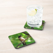 ハミングバードモーニング コースター (右側)