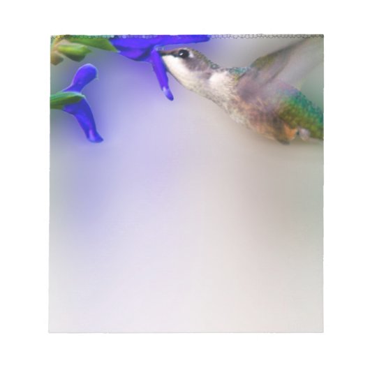 ハミングバードランチ ノートパッド (正面)