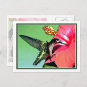ハミングバードランチ ポストカード (正面/裏面)
