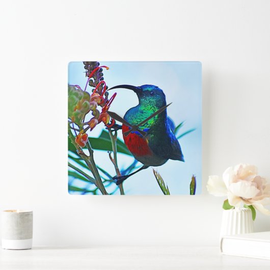 ハミングバードルビーが喉を切った スクエア壁時計 (ホーム)