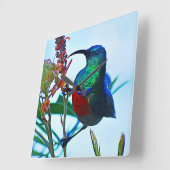 ハミングバードルビーが喉を切った スクエア壁時計 (傾斜)