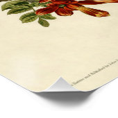 ハミングバードルビースロートオードボン ポスター (コーナー)