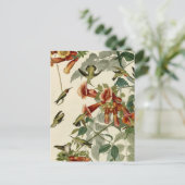 ハミングバードルビースロートオードボン ポストカード (スタンド正面)