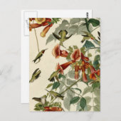 ハミングバードルビースロートオードボン ポストカード (正面/裏面)