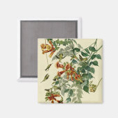 ハミングバードルビースロートオードボン マグネット (正面/裏面)