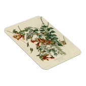 ハミングバードルビースロートオードボン マグネット (右側)