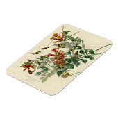 ハミングバードルビースロートオードボン マグネット (左側)