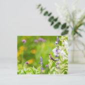 ハミングバードレスト ポストカード (スタンド正面)