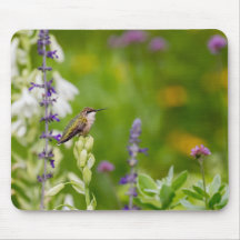 ハミングバードレスト