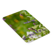 ハミングバードレスト マグネット (右側)