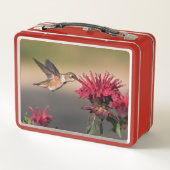 ハミングバードレッドフラワー メタルランチボックス (裏面)